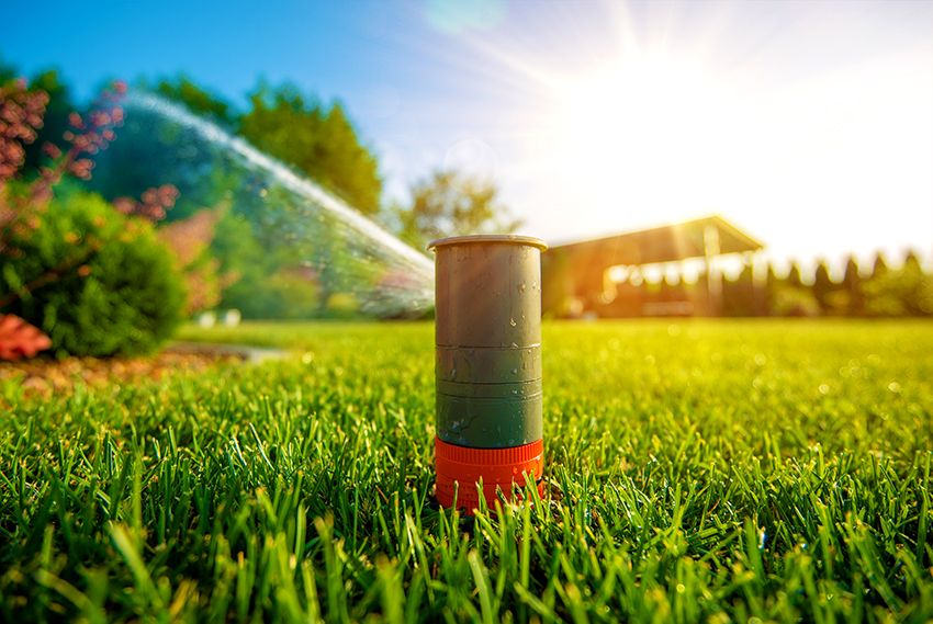 Sprinkler voor irrigatie: het creëren van een gunstig microklimaat voor planten