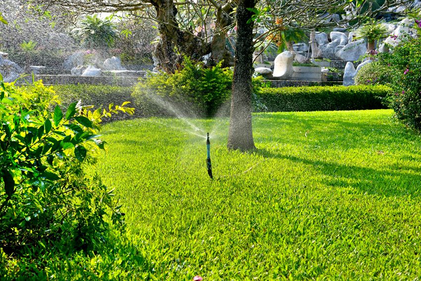 Sprinkler voor irrigatie: het creëren van een gunstig microklimaat voor planten