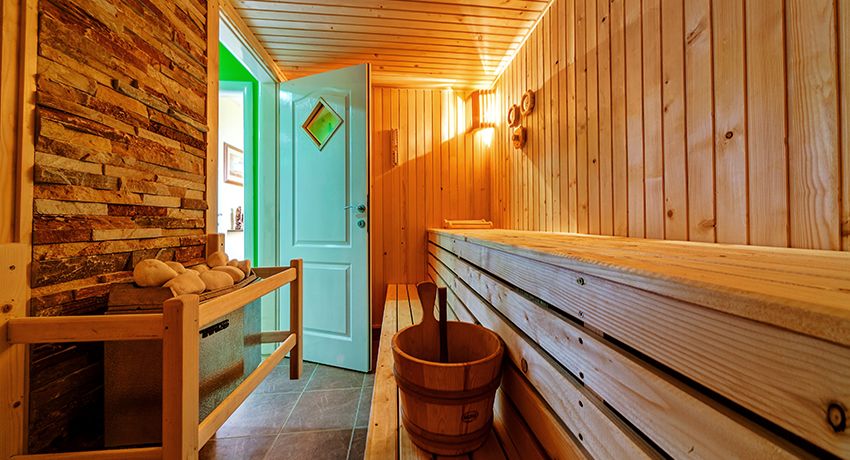 Deur voor baden en sauna's: kies prachtige en vochtbestendige modellen