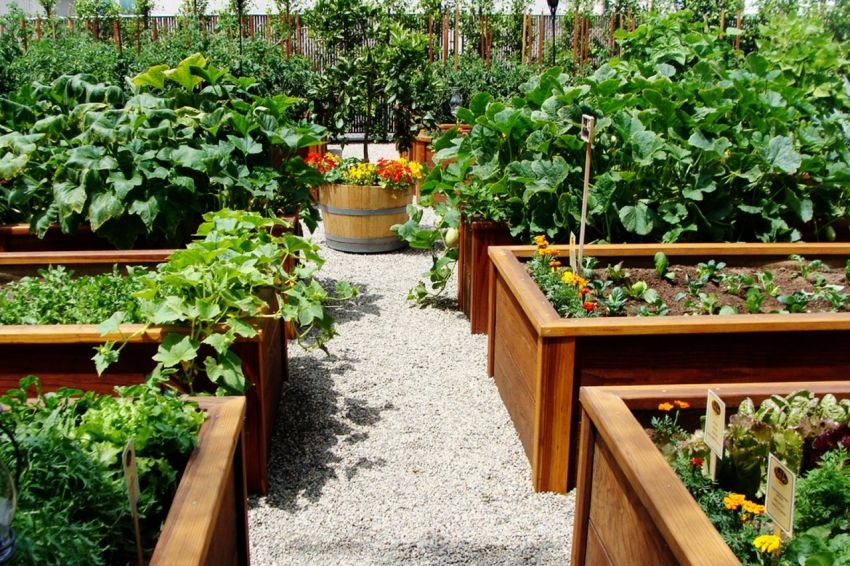 DIY doe-het-zelf tuinbedden: interessante ideeën voor landontwerp