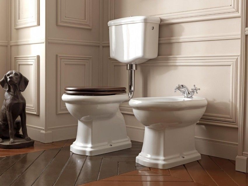 Hoe een toilet te kiezen: de belangrijkste criteria en kenmerken van verschillende modellen