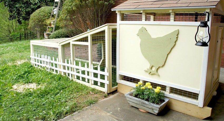 Doe-het-zelf kippenhok op 10 kippen: tekeningen en constructiekenmerken