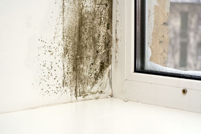 Waarom zweten plastic ramen in het appartement: de oorzaken en hun eliminatie