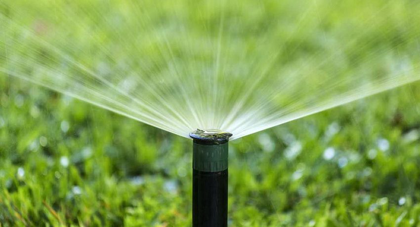Irrigatiesysteem in het land: een verscheidenheid aan opties voor het irrigeren van planten